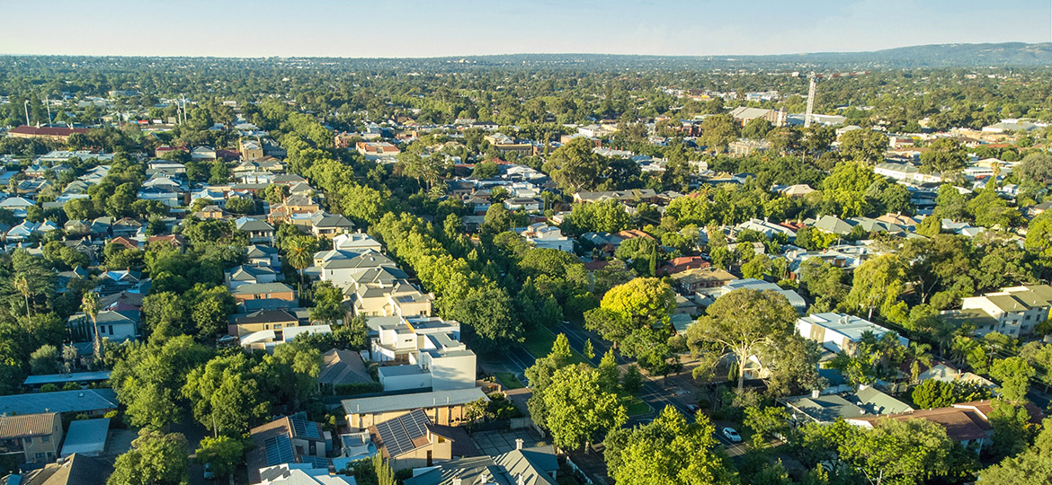 <p>The South Australian Government is taking immediate action to better protect Adelaide’s urban tree canopy and safeguard large, mature trees from destruction</p>